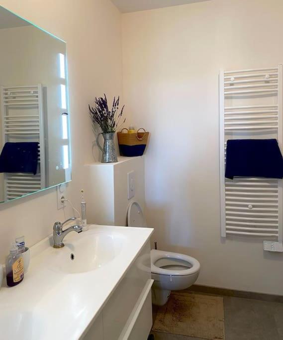 Peaceful Retreat In Drome Provencale Castel Apartment Montboucher-sur-Jabron Exterior photo